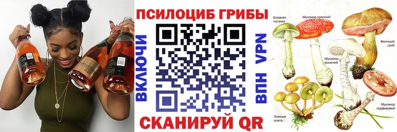 Псилоцибиновые грибы Psilocybe Владивосток