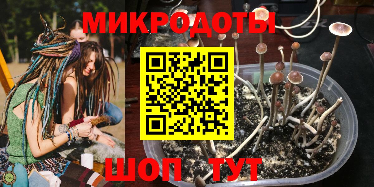 Владивосток  Галлюциногенные грибы мицелий  Вход с VPN 