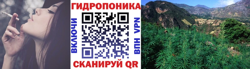 Конопля Bruce Banner  Владивосток 